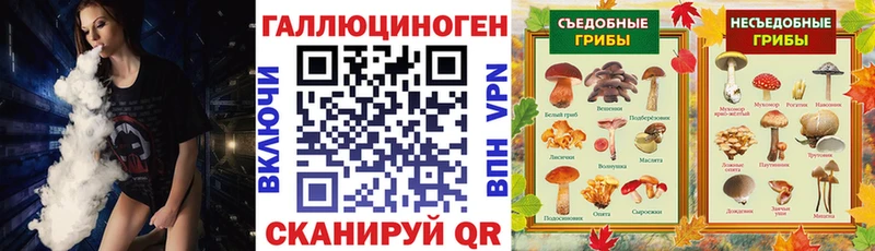 Псилоцибиновые грибы прущие грибы сайты даркнета формула Отрадная